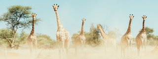 Südafrika & Namibia
