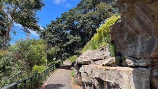 Botanischer Garten