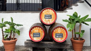 Traditionelle Weinkeller
