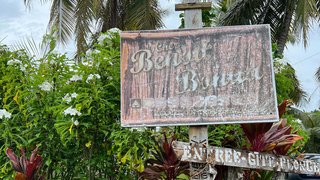Lifou