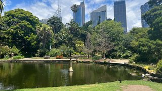 Sydney
