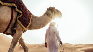 Kamel und Mann in der Wüste