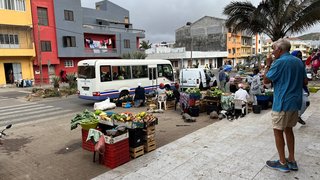 Frische Früchte auf dem Markt Frische Früchte auf dem Markt