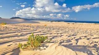 Endlos weiße Traumstrände auf Fuerteventura Endlos weiße Traumstrände auf Fuerteventura